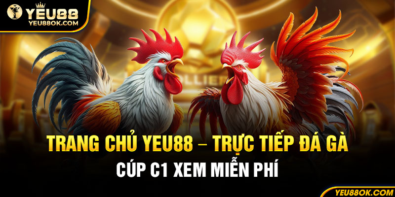 trang-chu-yeu88